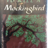 To Kill a Mockingbird Appraised by Appraising Plus